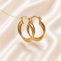 Elegant Twisted Double Hoop Earrings for Women
